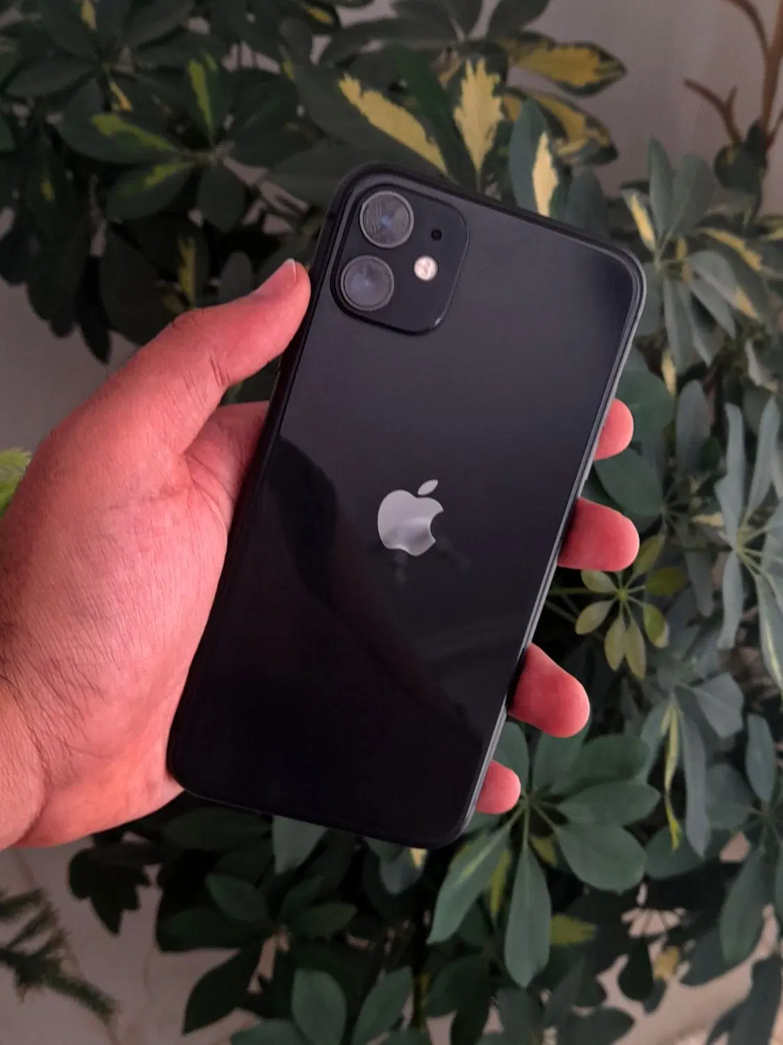 فروش iPhone 11 Normal|موبایل|دهاقان, |دیوار