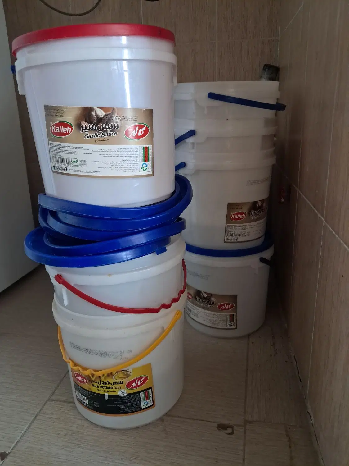 سطل|ظروف نگهدارنده، پلاستیکی، یک‌بارمصرف|زنجان, |دیوار