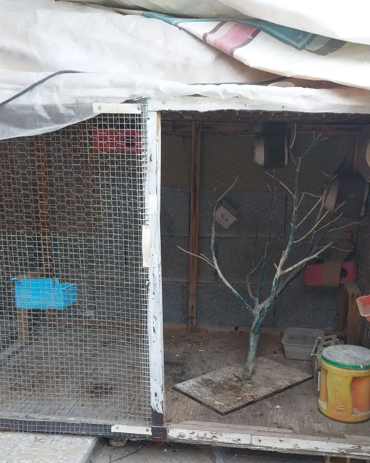 قفس بزرگ|لوازم جانبی حیوانات|برازجان, |دیوار