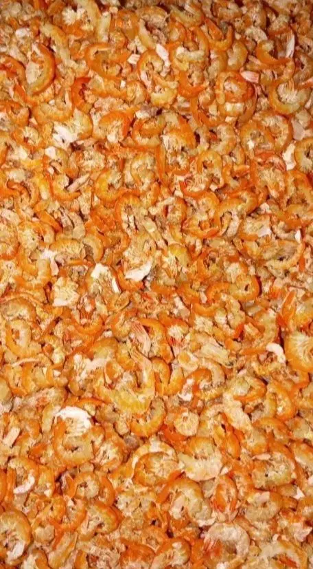 میگو|خوردنی و آشامیدنی|اوز, |دیوار