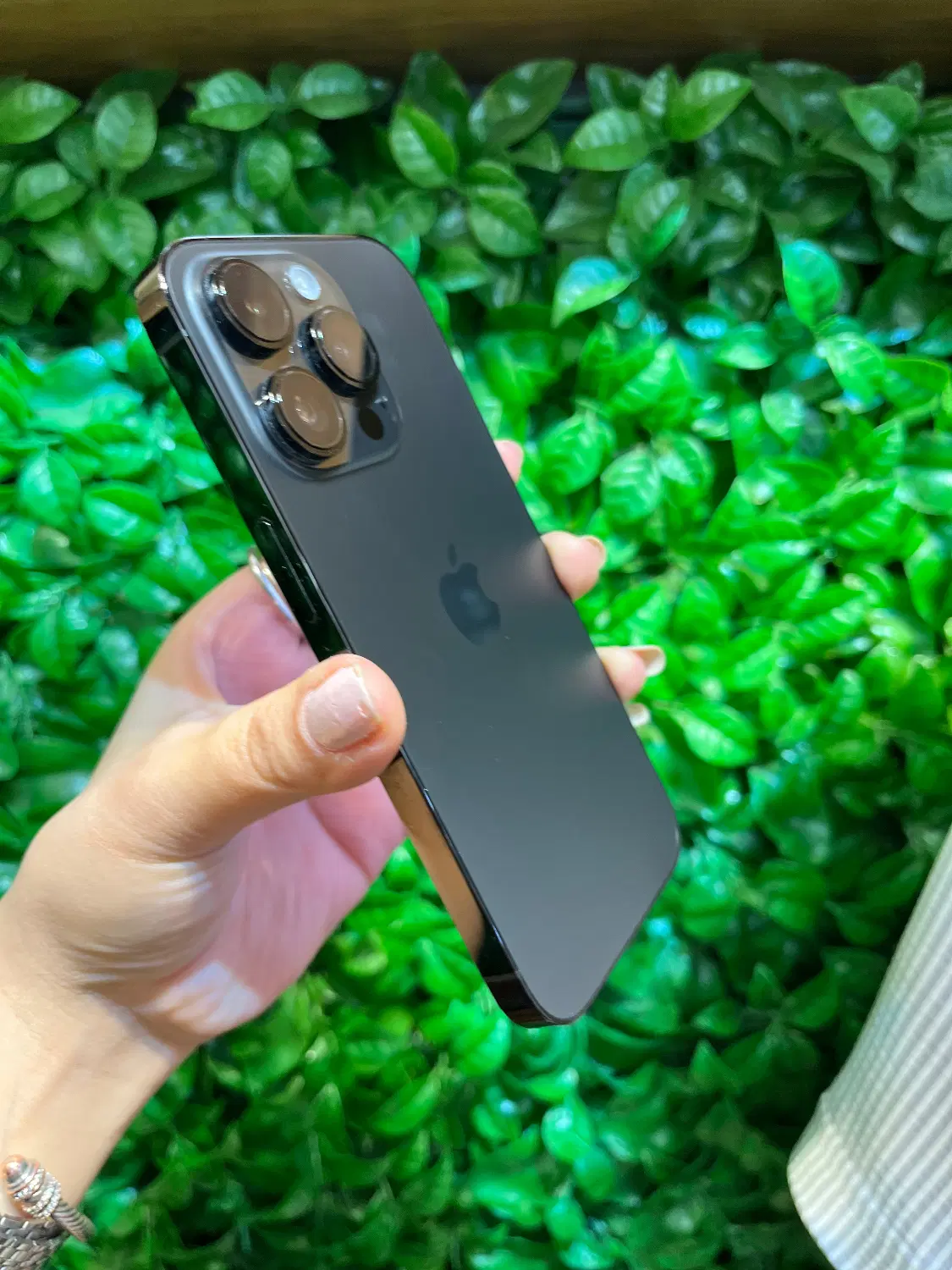 14 pro|موبایل|تهران, گیشا|دیوار