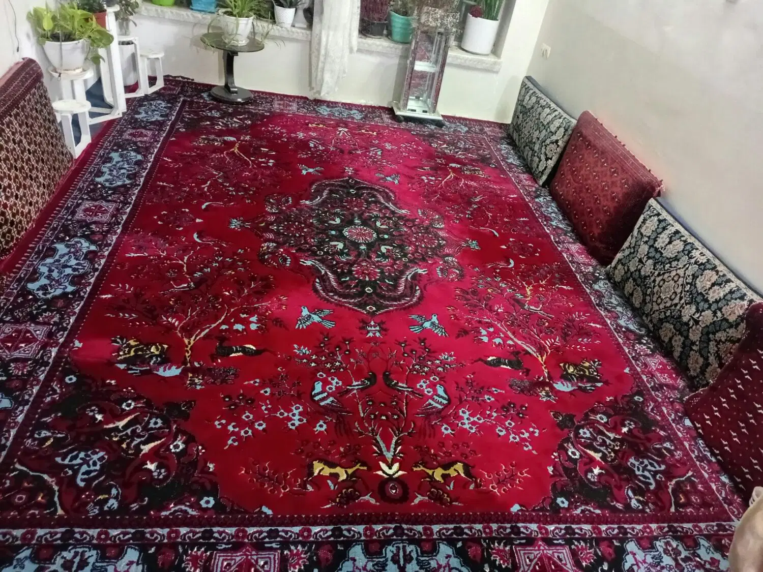 فرش|فرش|رشتخوار, |دیوار