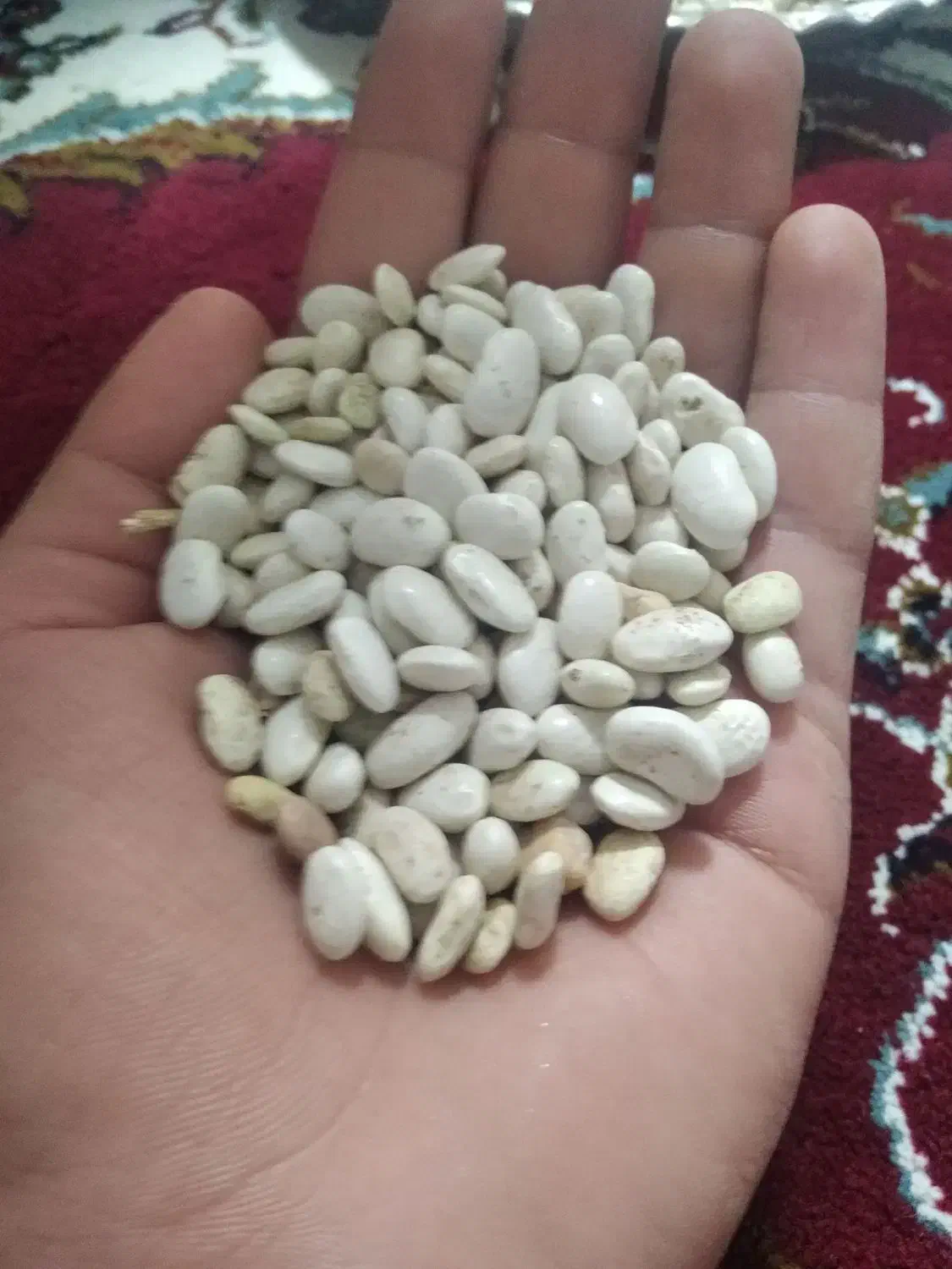 لوبیا|عمدهفروشی|صحنه, |دیوار