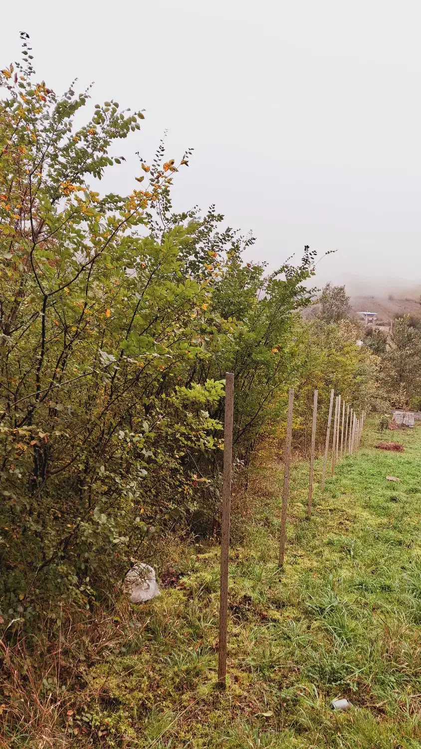 زمین باغی|فروش زمین و ملک کلنگی|تهران, استاد معین|دیوار