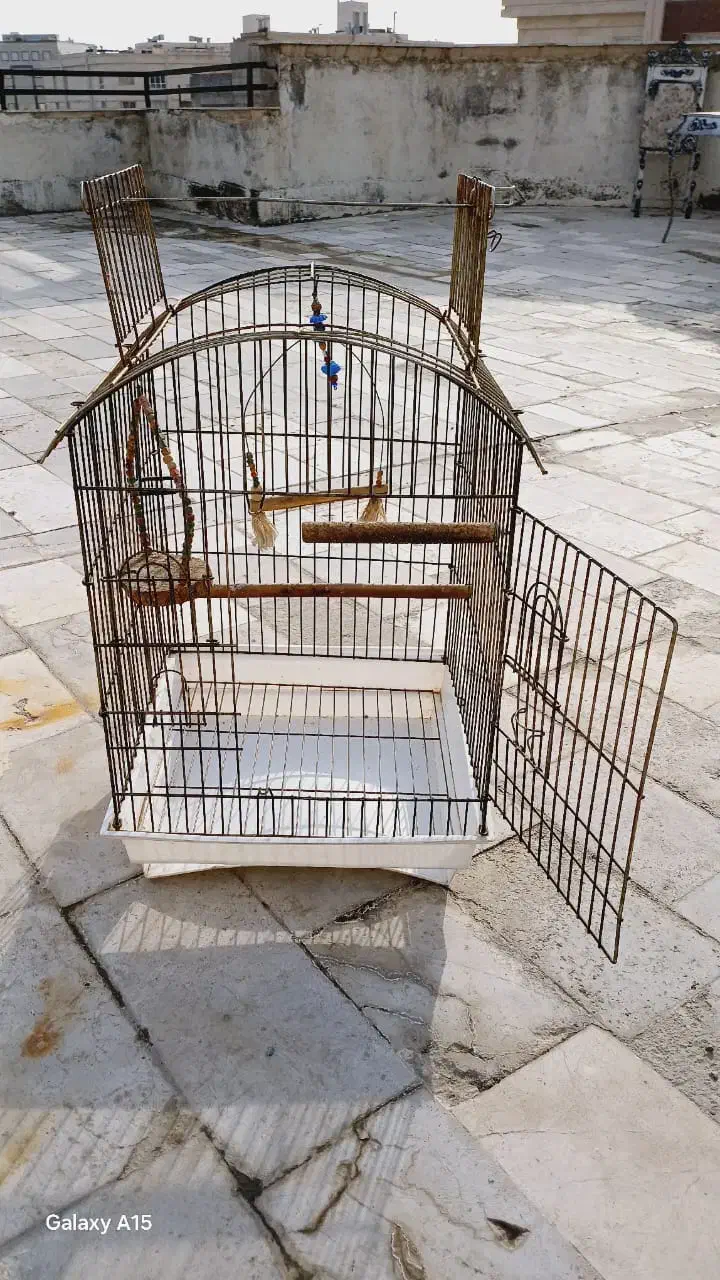 قفس پرنده|لوازم جانبی حیوانات|مشهد, امیریه|دیوار