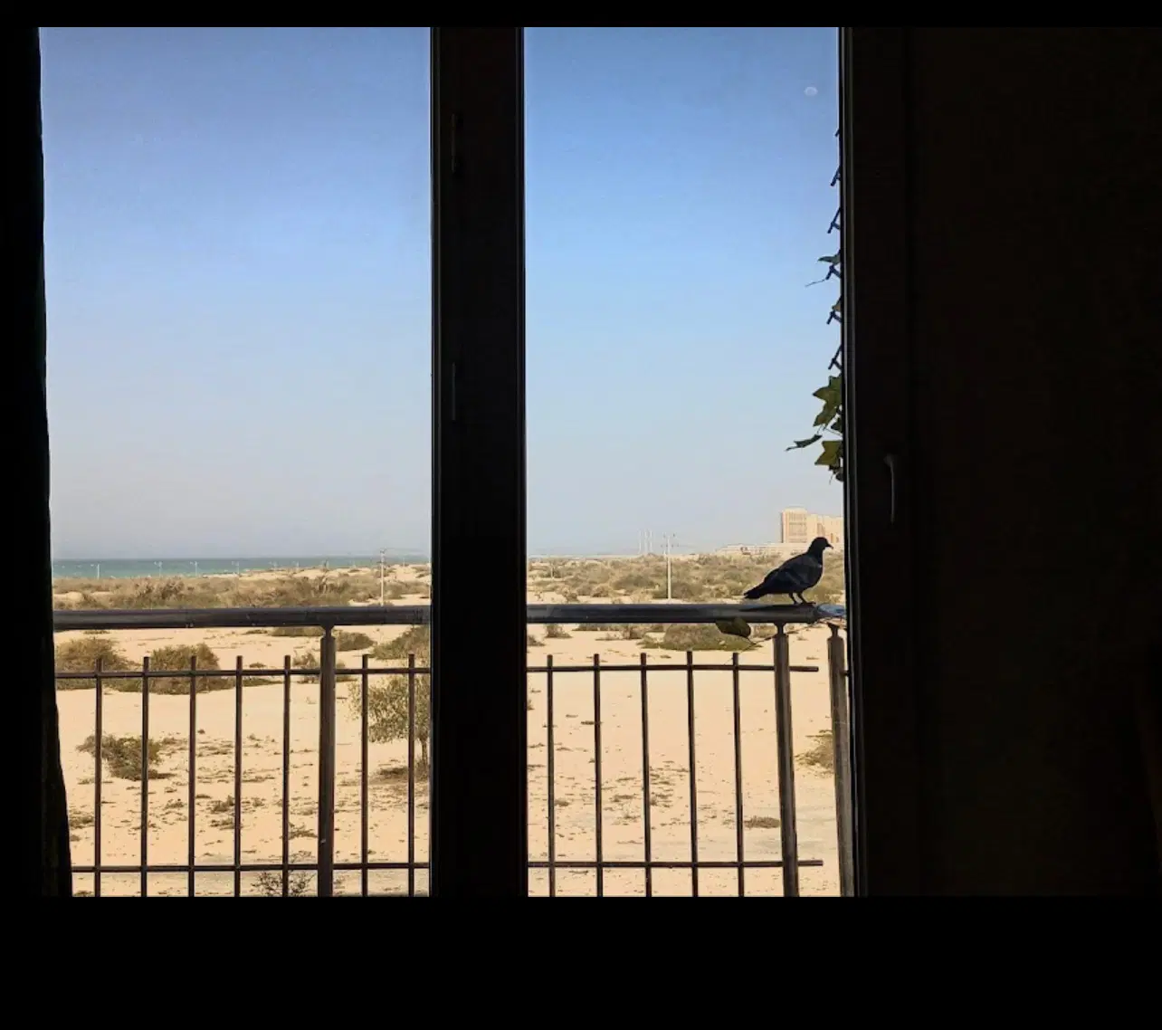 تصویر 2