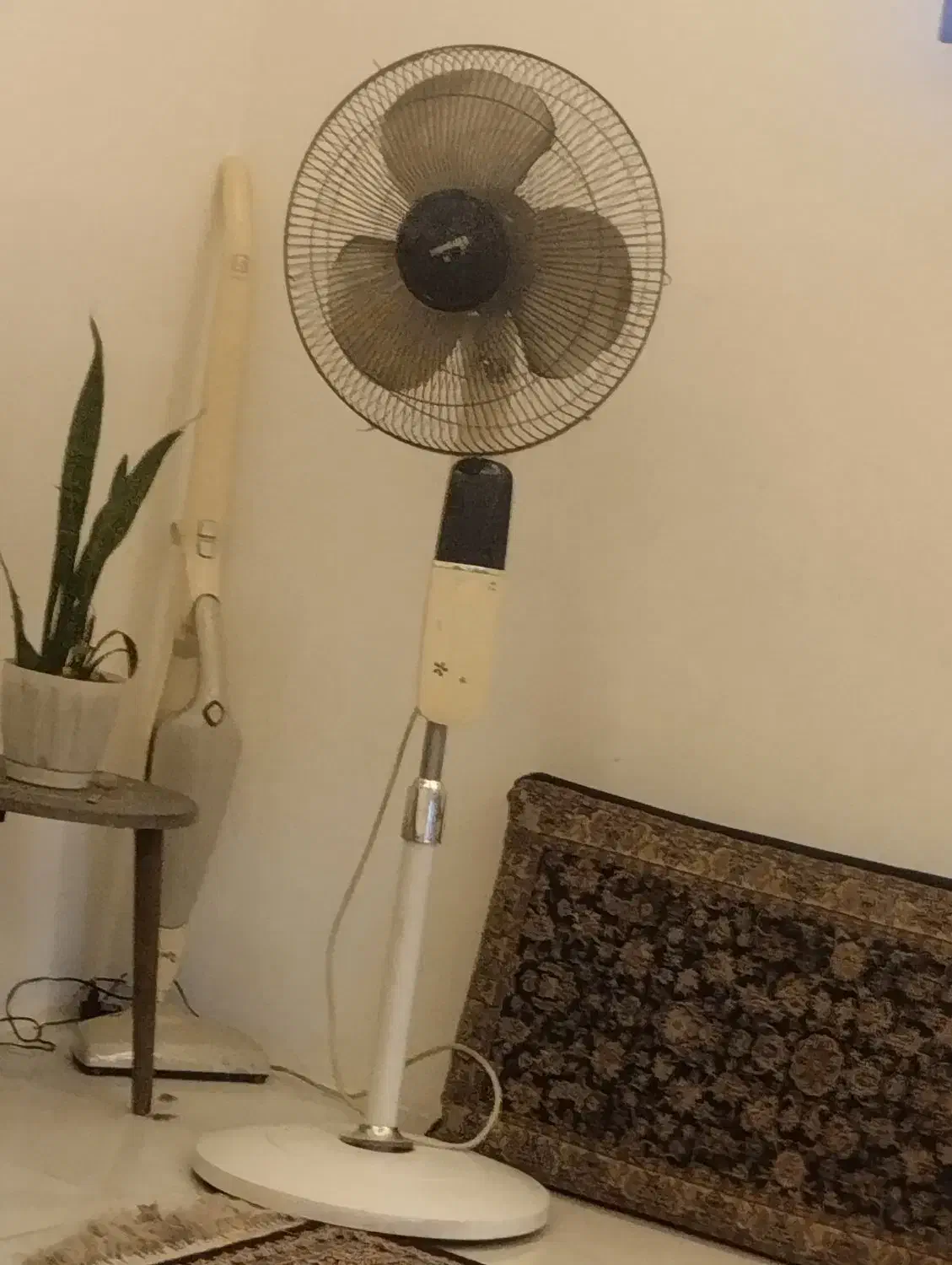 پنکه|پنکه و تصفیه‌کنندهٔ هوا|مشهد, طبرسی شمالی|دیوار