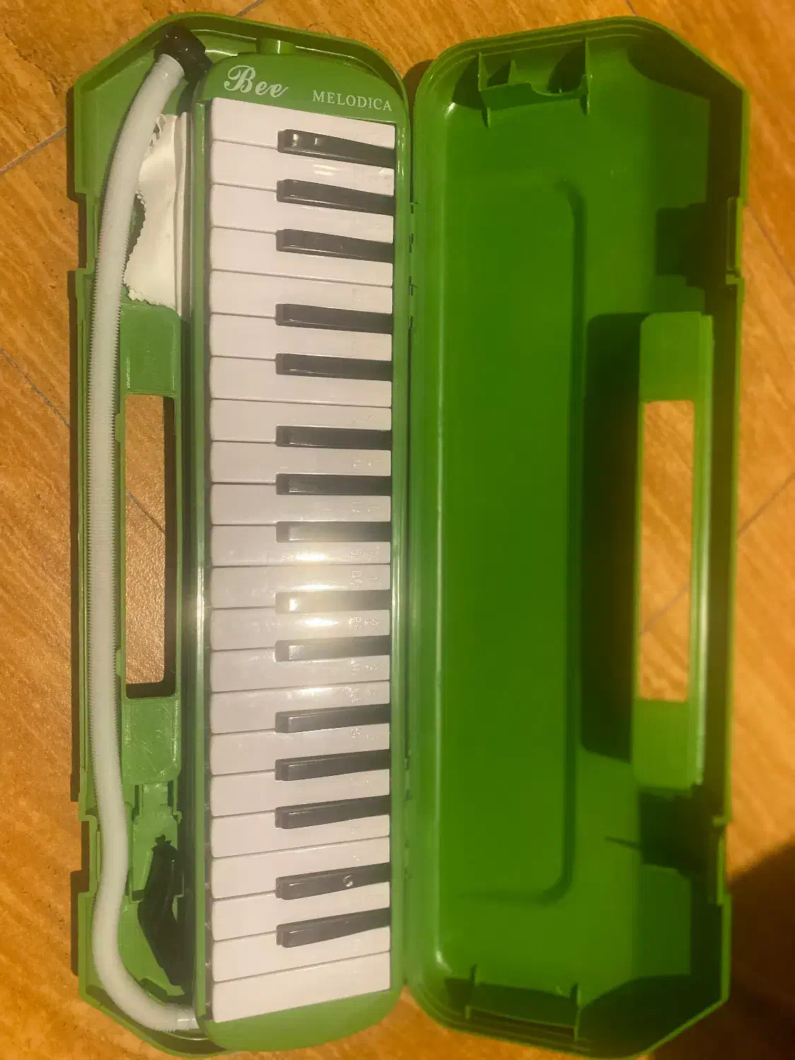 ملودیکا نو|آلات موسیقی|کیش, |دیوار