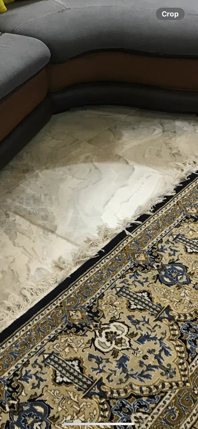 فرش|فرش|سیرجان, |دیوار