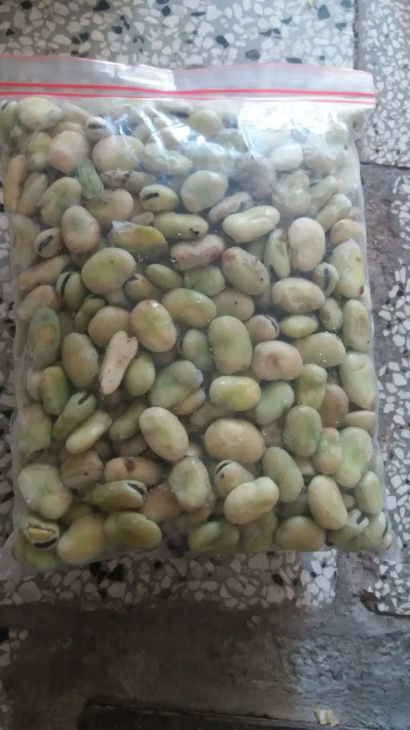 باقالی|خوردنی و آشامیدنی|بیرجند, |دیوار
