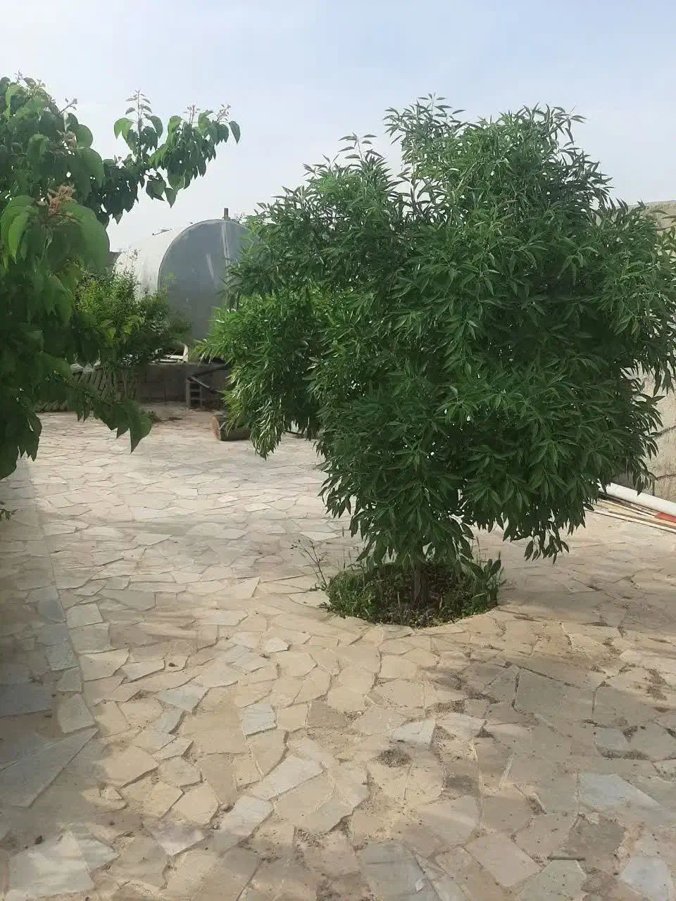 تصویر 5