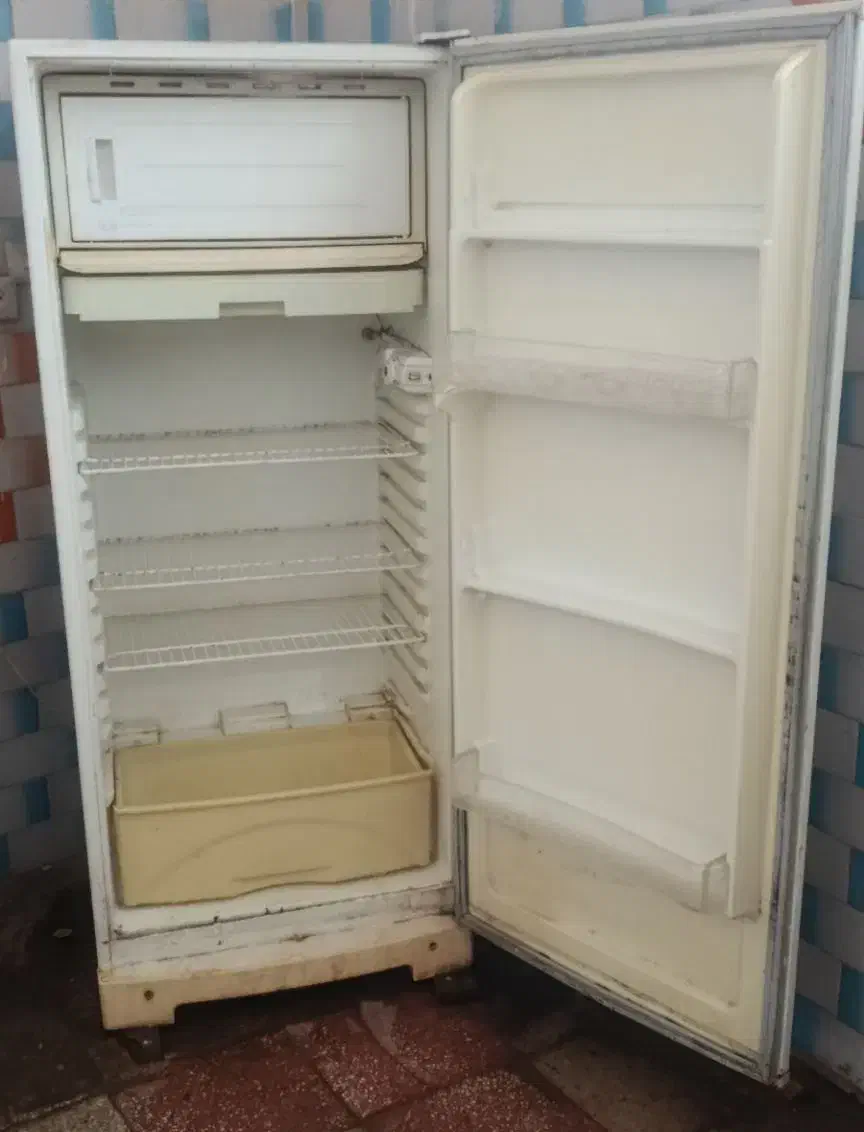 یخچال|یخچال و فریزر|لالجین, |دیوار