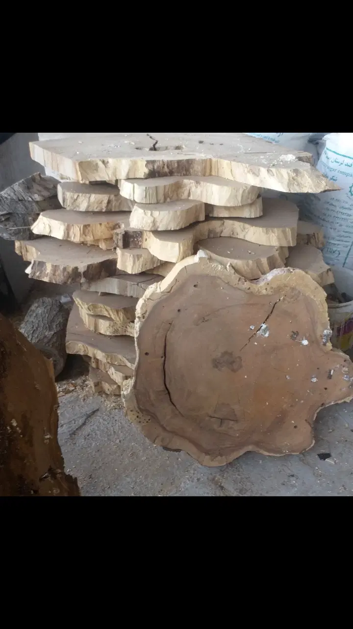 ریشه گردو|صنایع دستی و سایر لوازم تزئینی|چهاردانگه (تهران), |دیوار
