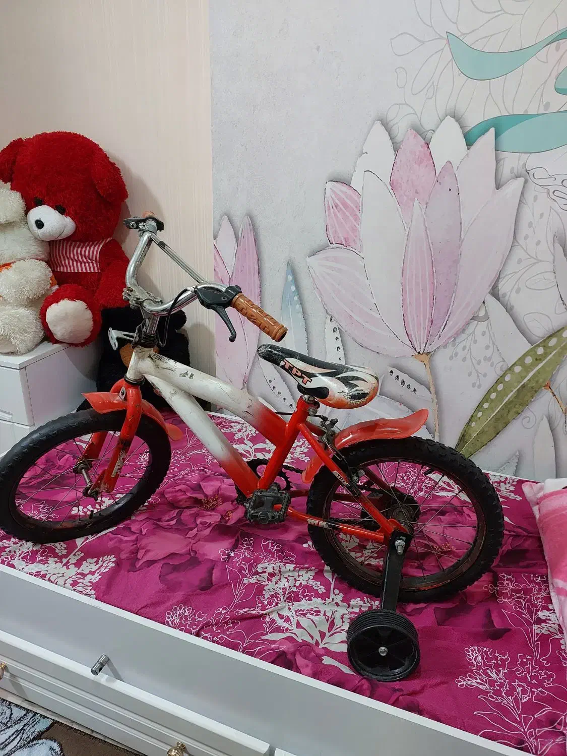 دوچرخه|دوچرخه، اسکیت، اسکوتر|رشت, عینک|دیوار