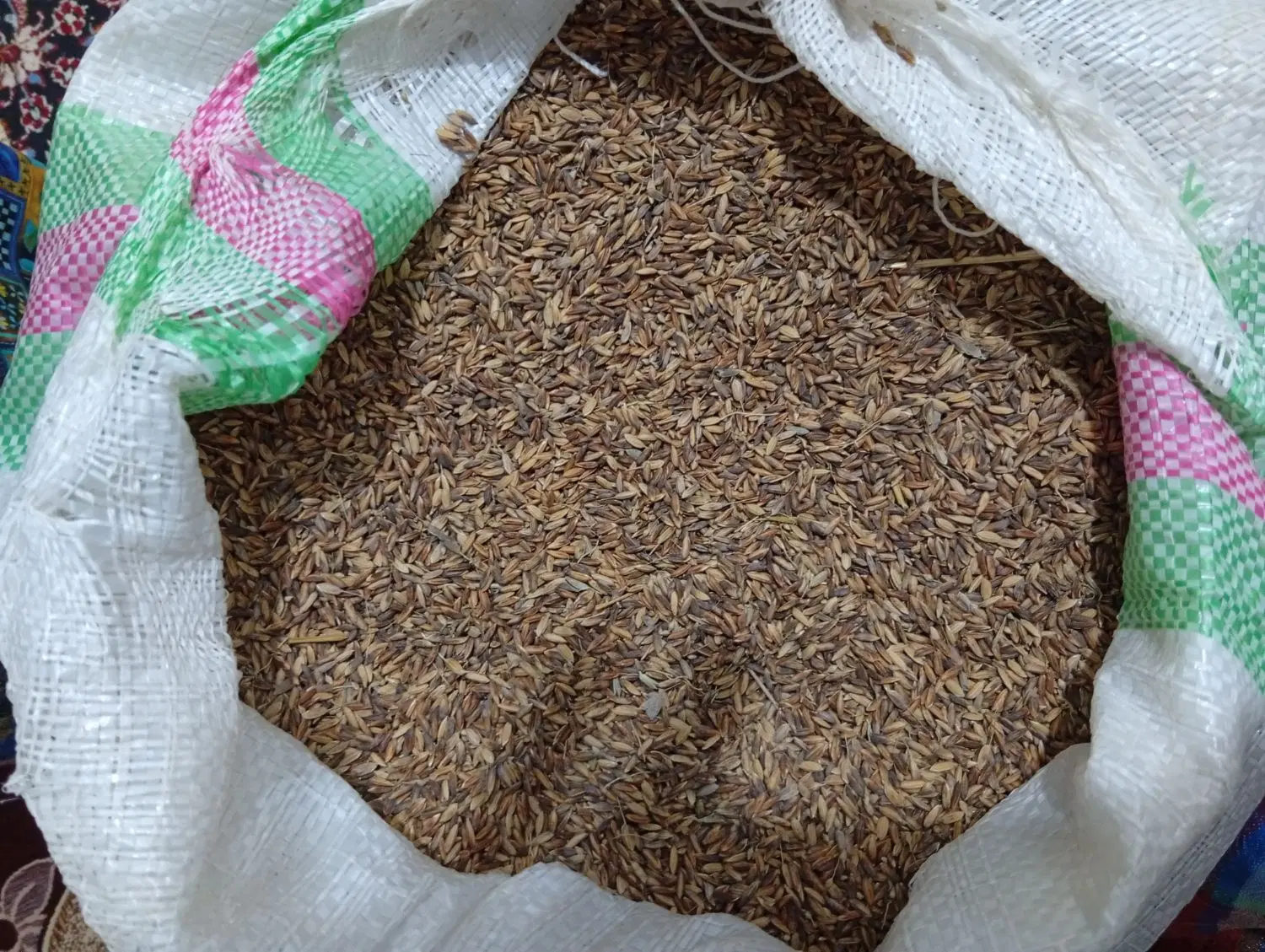 شلتوک|خدمات باغبانی و درختکاری|کارون, |دیوار