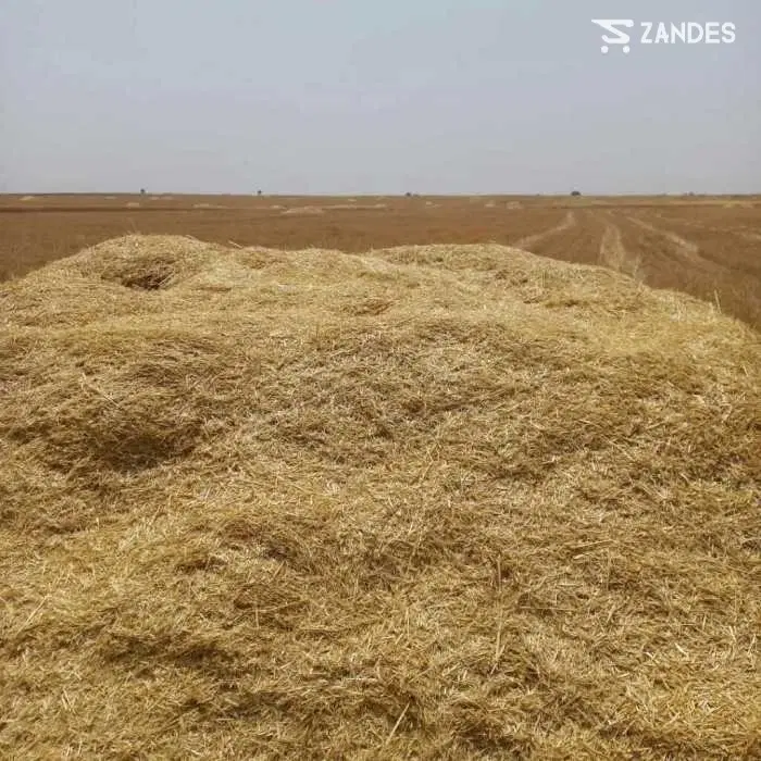 کاه|لوازم جانبی حیوانات|چمران, |دیوار