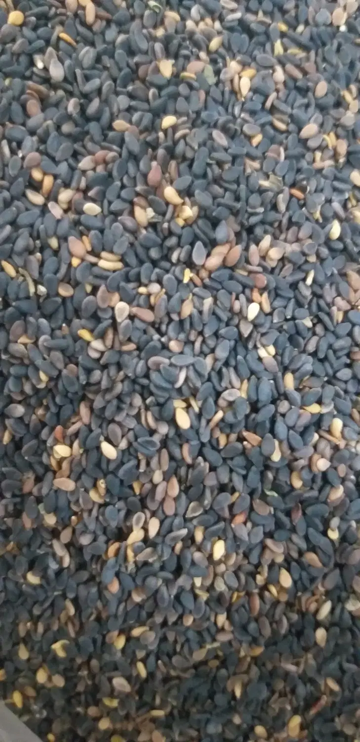 کنجدسیاه|خوردنی و آشامیدنی|اصلاندوز, |دیوار