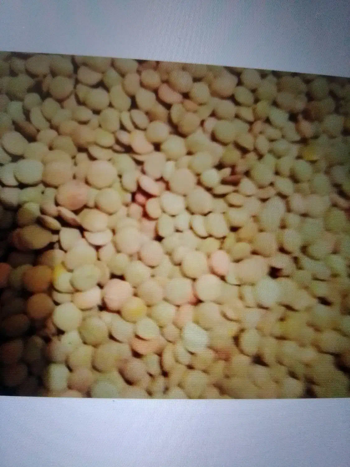 عدس|عمدهفروشی|بجنورد, |دیوار