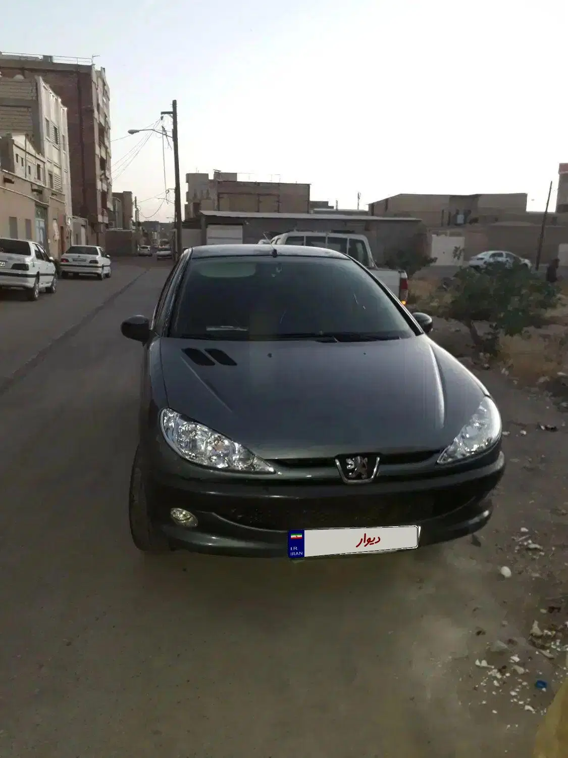 ۲۰۶|خودرو سواری و وانت|سیرجان, |دیوار