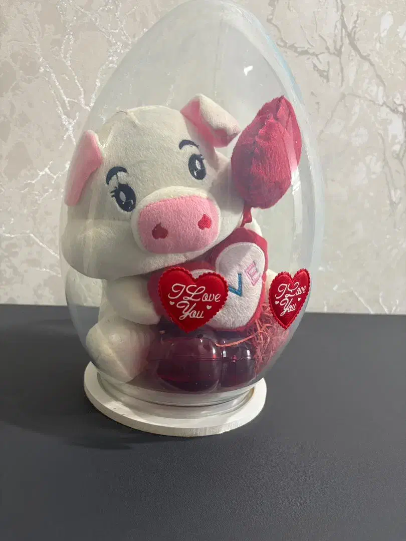 خوک گوی دار|اسباببازی|کازرون, |دیوار