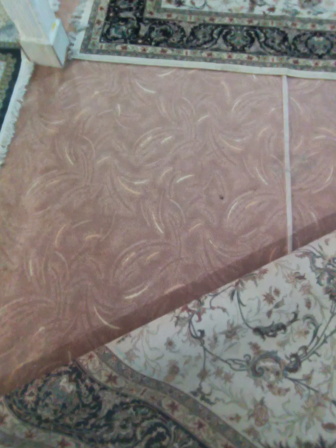 موکت|موکت|لردگان, |دیوار