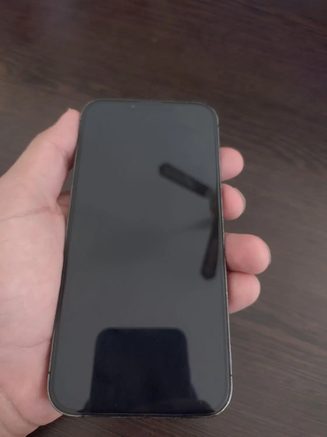 Iphone 13 promax|موبایل|یزد, |دیوار