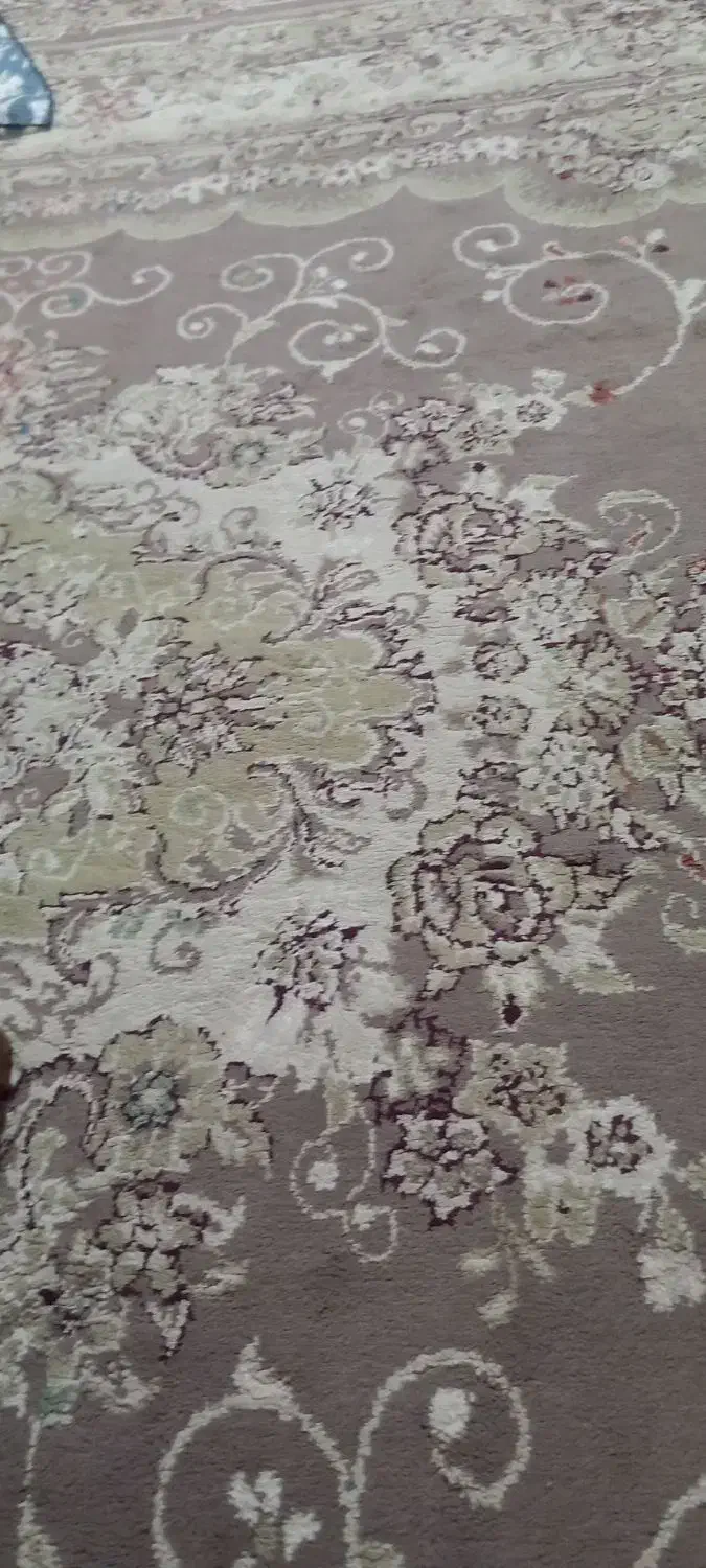 فرش ۶متری|فرش|رشت, پاره بیجار|دیوار