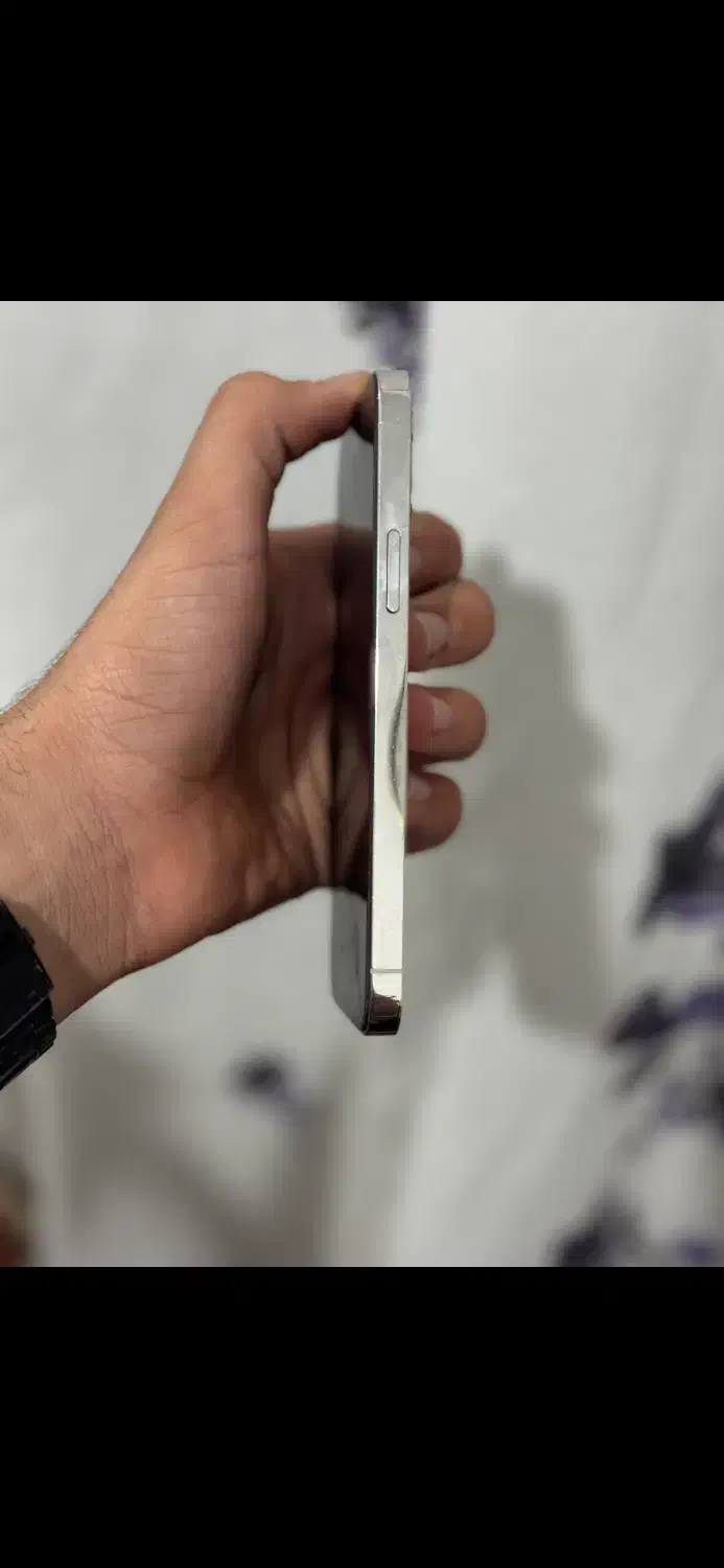 iPhone 12 pro 256|موبایل|داراب, |دیوار