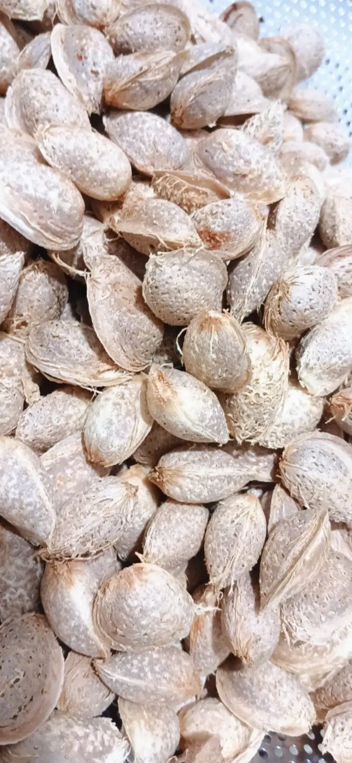 بادام|خوردنی و آشامیدنی|اراک, |دیوار