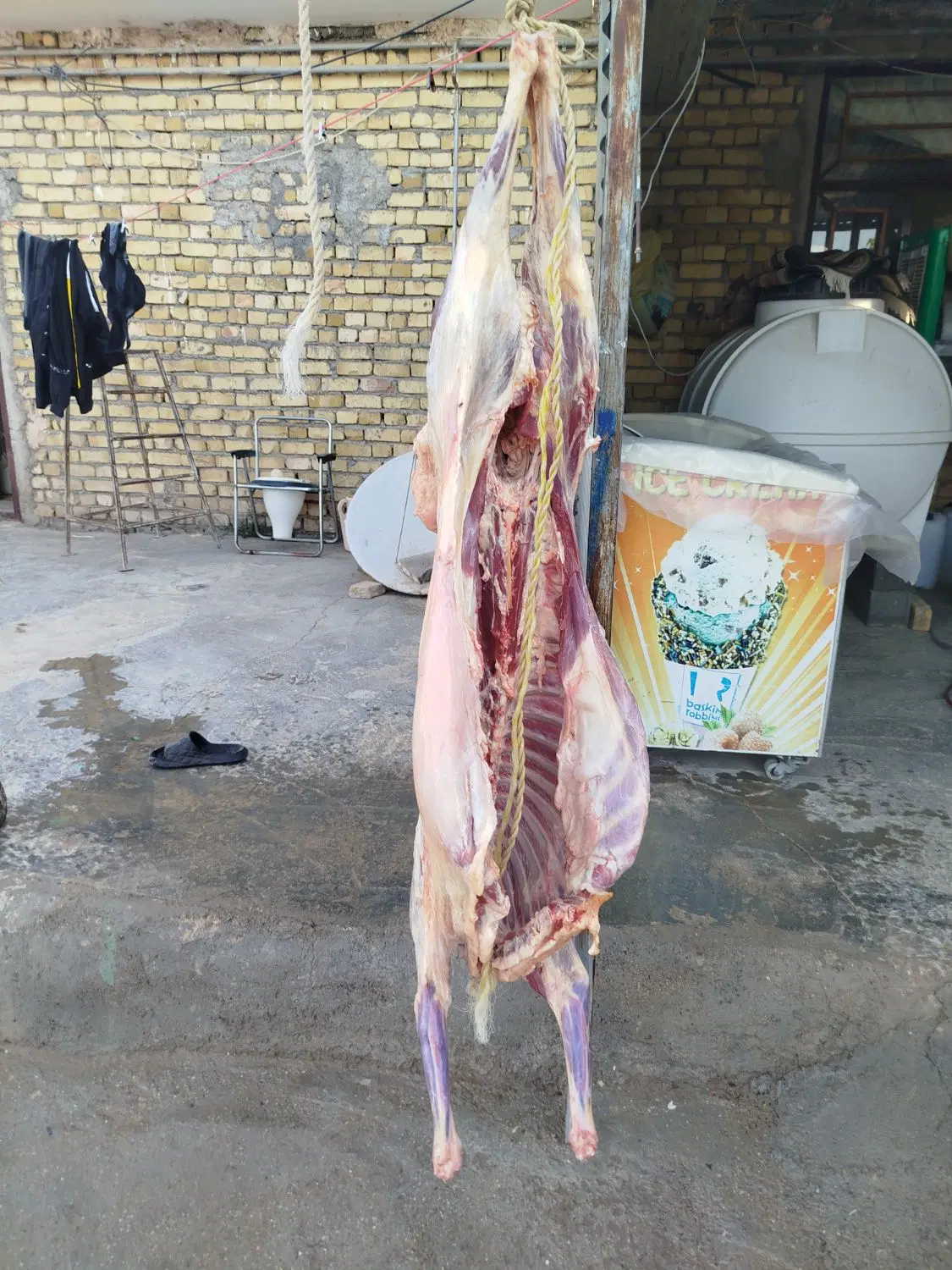 میش|خوردنی و آشامیدنی|شیروان (خراسان), |دیوار