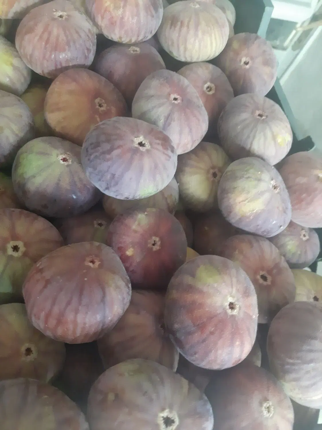 انجیر|خوردنی و آشامیدنی|صحنه, |دیوار