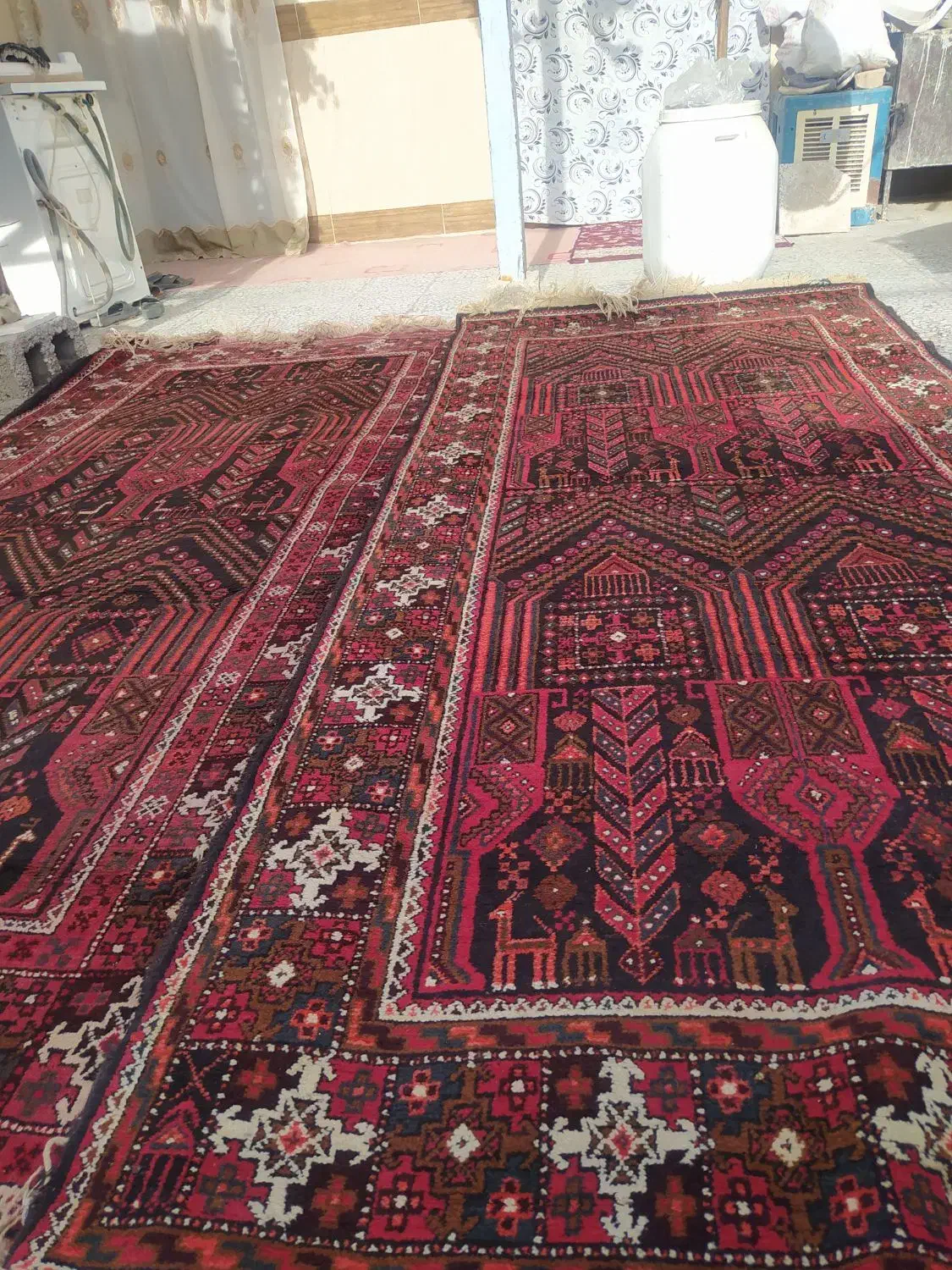 فرش دستباف|فرش|زابل, |دیوار