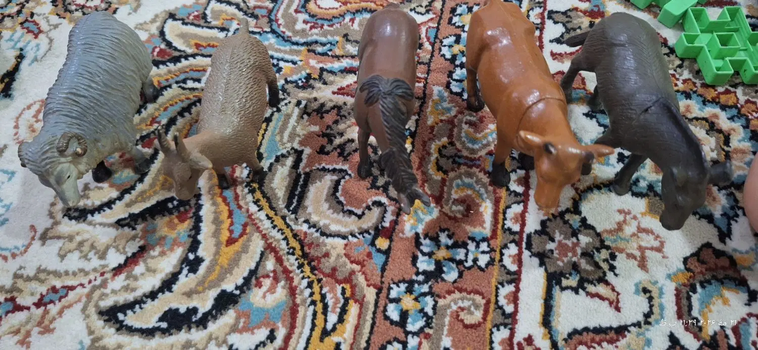 عروسک|اسباببازی بچه|گرگان, |دیوار