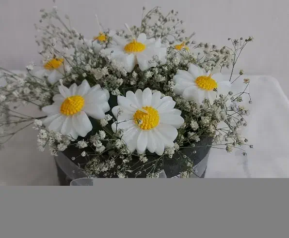 شمع|صنایع دستی و سایر لوازم تزئینی|رشت, گلسار|دیوار