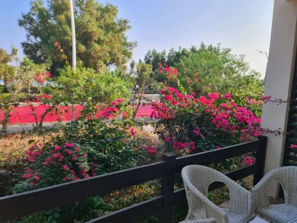 تصویر 2