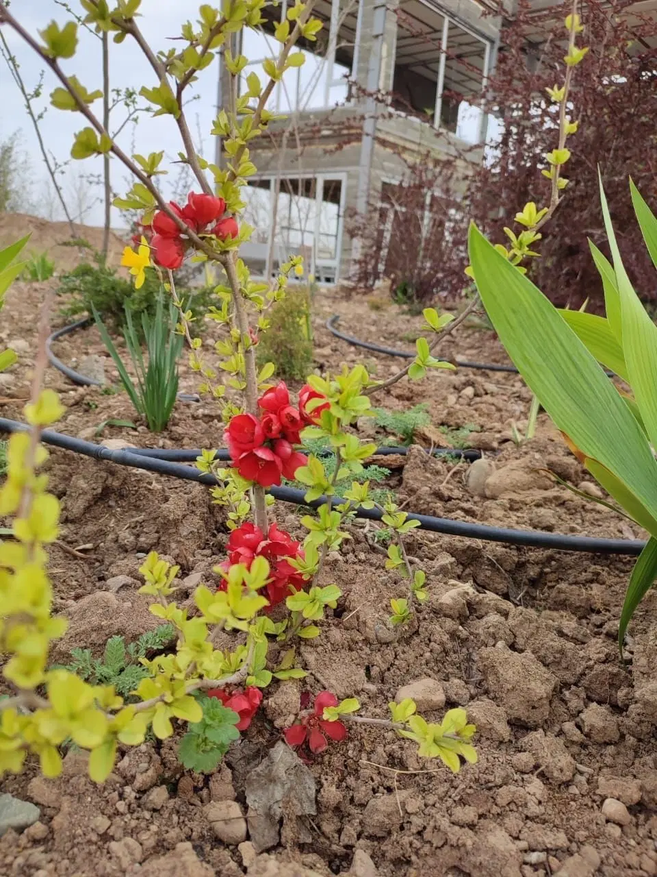 کارگر|استخدام معماری، عمران و ساختمانی|هشتگرد, ینگی امام|دیوار