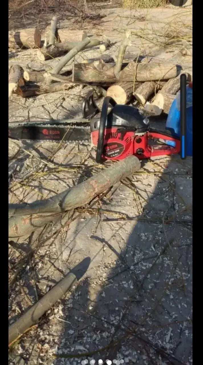 باغبانی|خدمات باغبانی و درختکاری|سبزوار, کاشفی شمالی (دادگستری)|دیوار