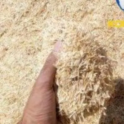 کپ کاه|لوازم جانبی حیوانات|دزفول, |دیوار
