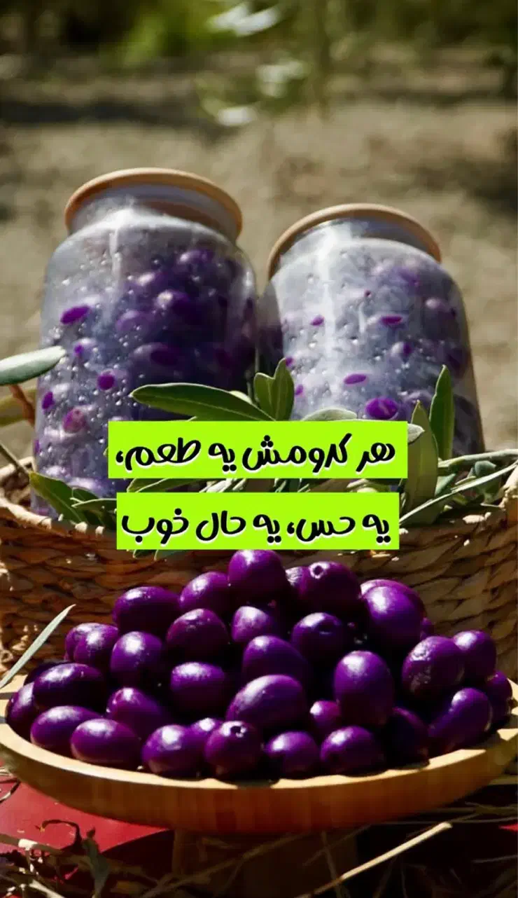 زیتون مشهد|خوردنی و آشامیدنی|مشهد, پردیس|دیوار