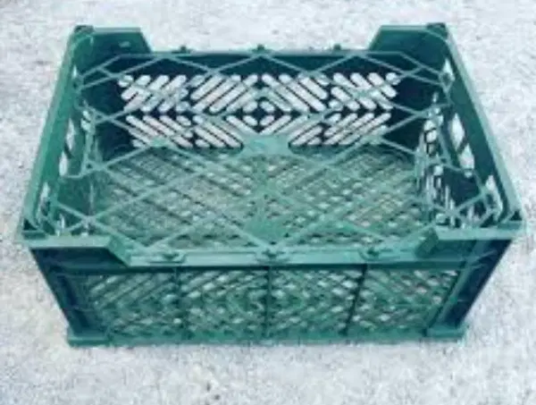 سبد سیب|عمده‌فروشی|مهاباد (آذربایجان غربی), |دیوار