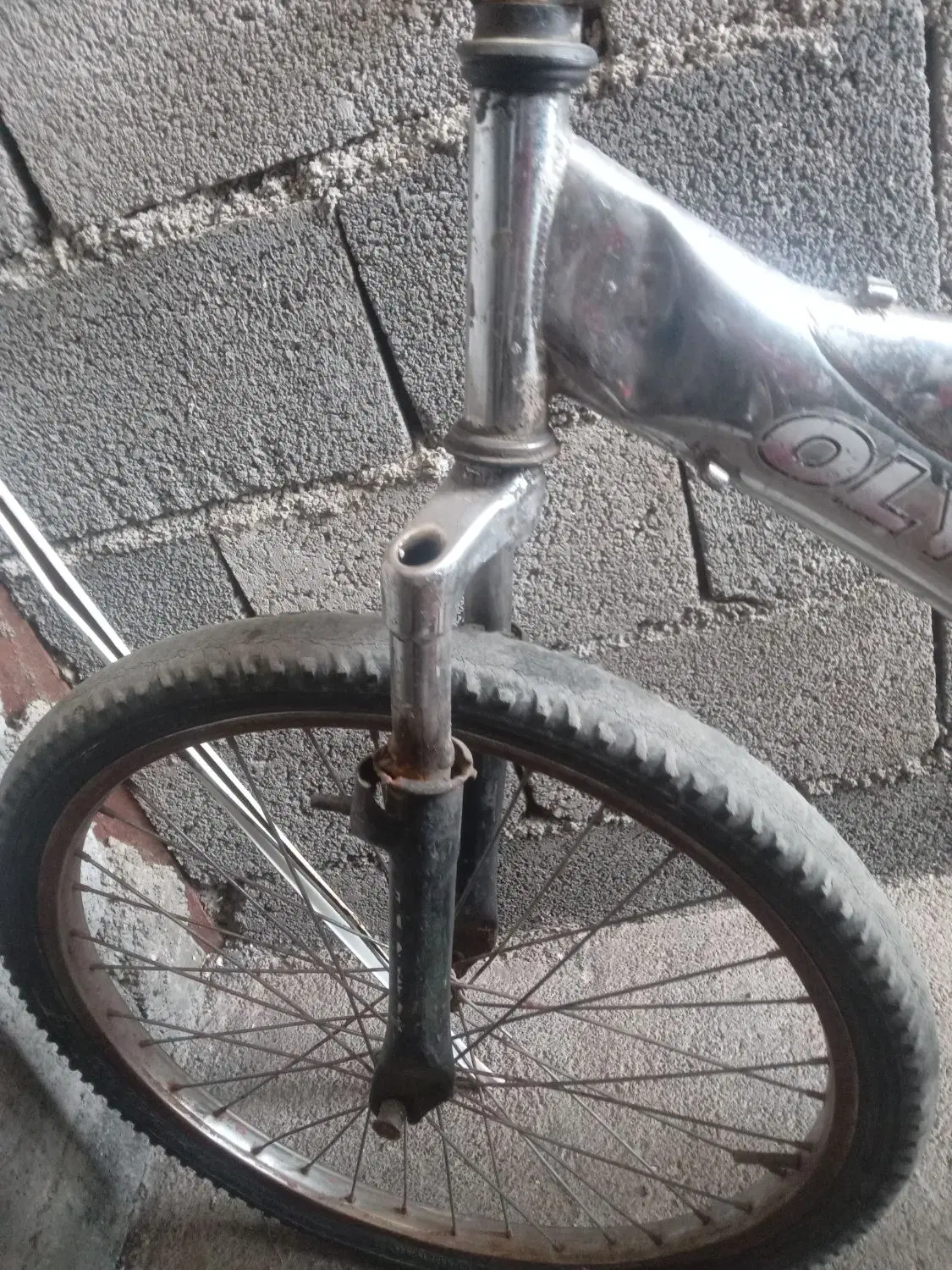دوچرخه ۲۴|دوچرخه، اسکیت، اسکوتر|ثلاث باباجانی, |دیوار