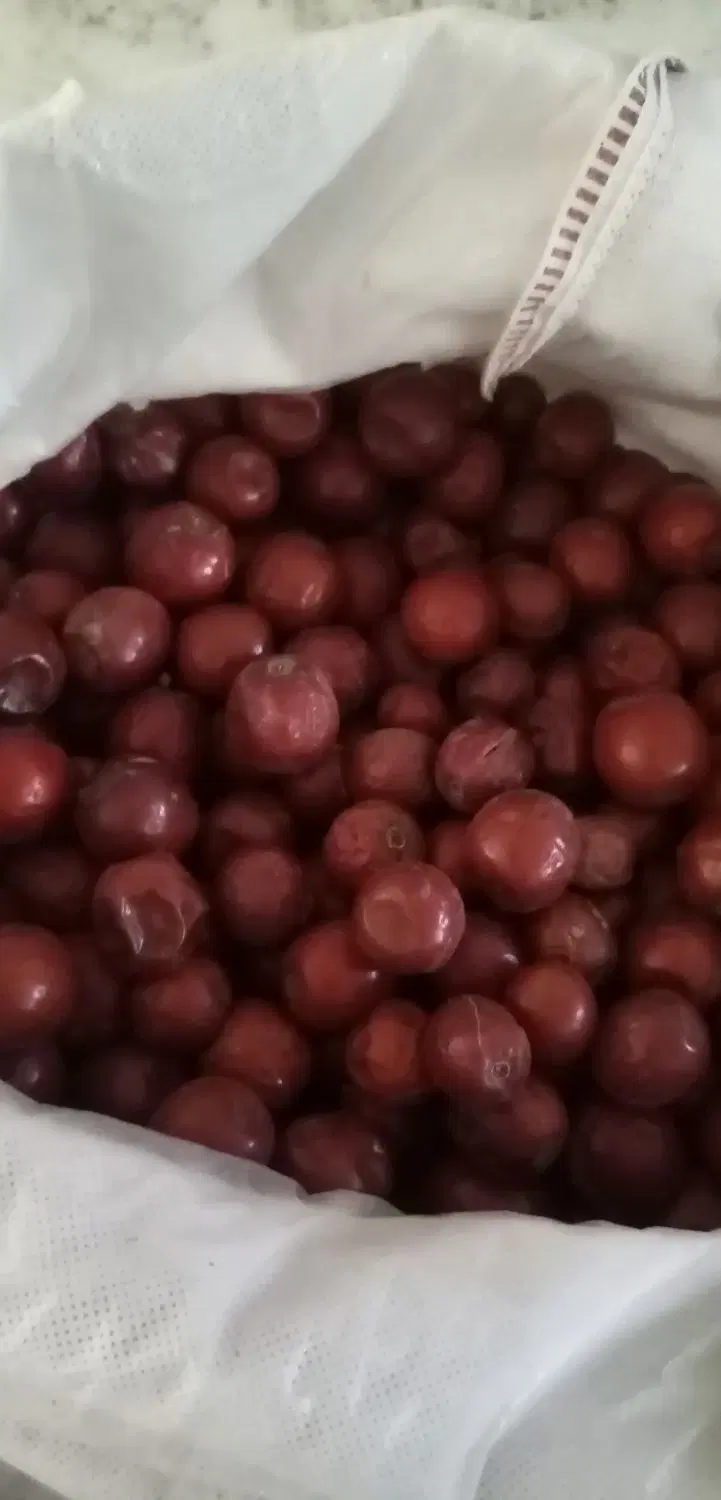 عناب|خوردنی و آشامیدنی|نیشابور, تریا پارک|دیوار
