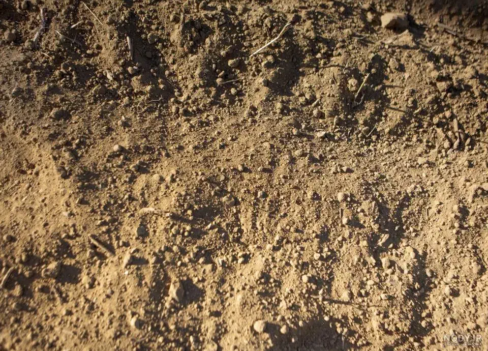 فروش|فروش زمین و ملک کلنگی|سقز, |دیوار