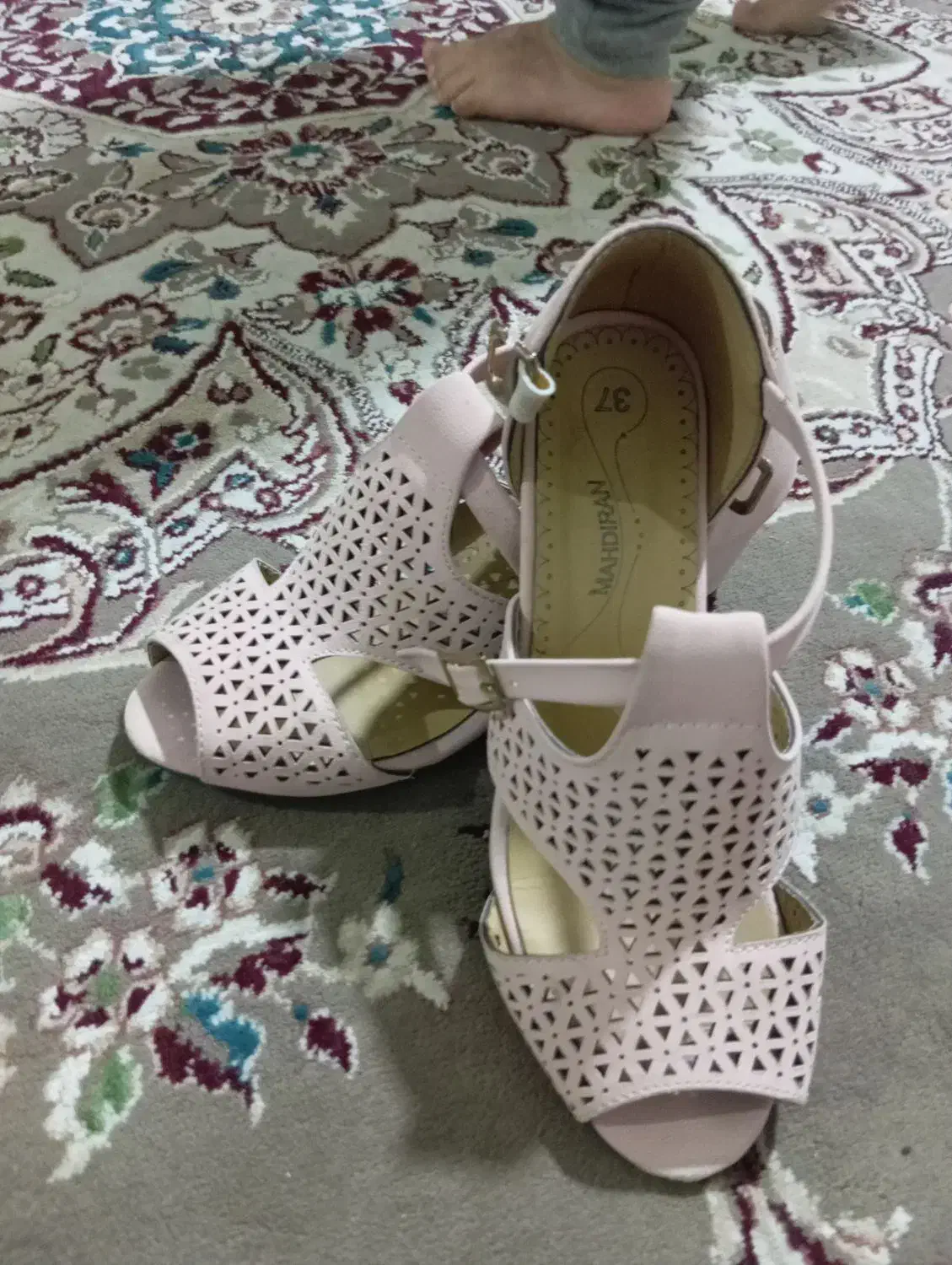 کفش|کیف، کفش، کمربند|بجنورد, |دیوار