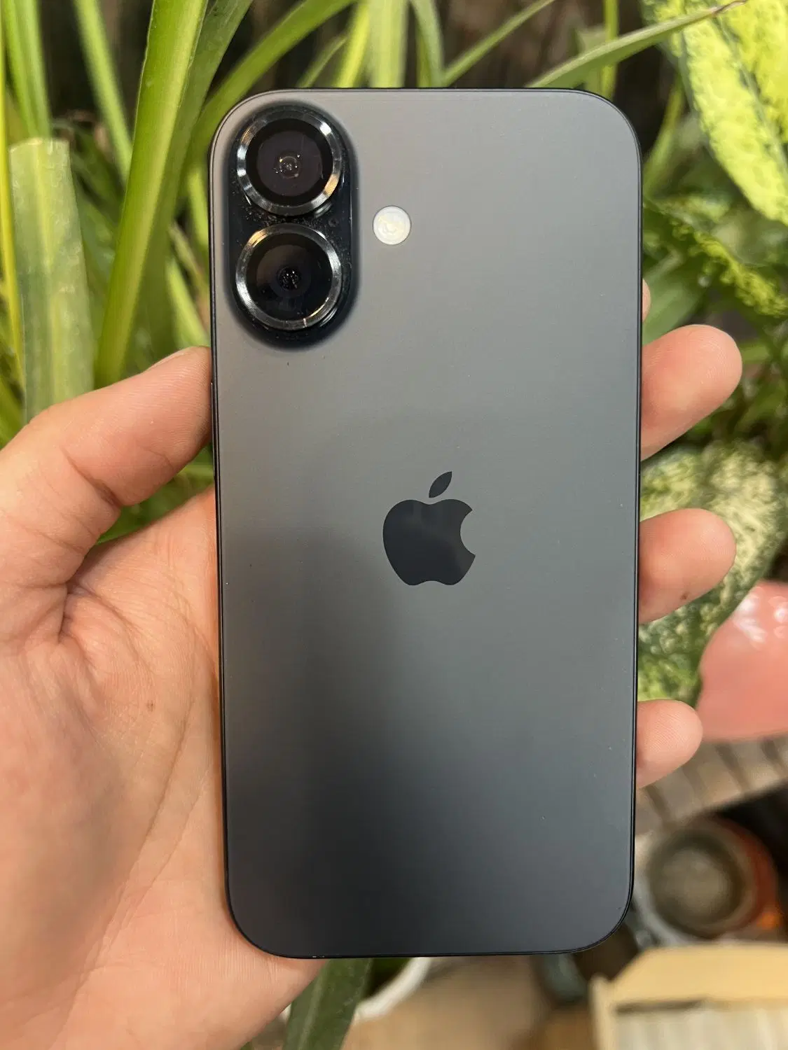 iPhone 16 normal|موبایل|یزد, |دیوار