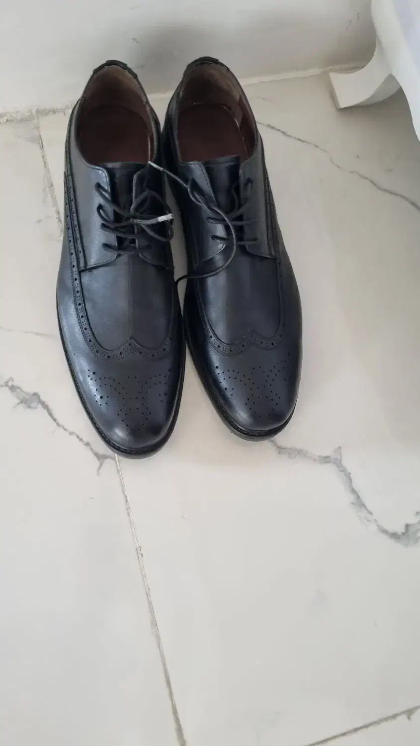 کفش نو|کیف، کفش، کمربند|کنگاور, |دیوار