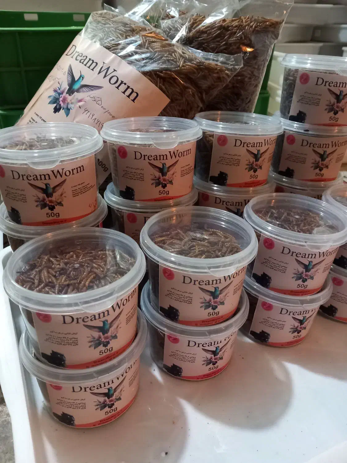 کرم میلورم خشک و زنده و آموزش پرورش|خزنده|محمدیه-قزوین, |دیوار