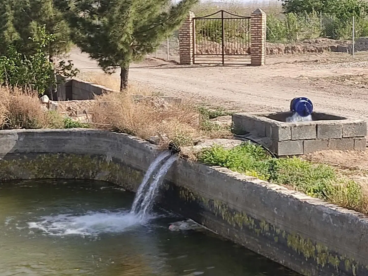 تصویر 4