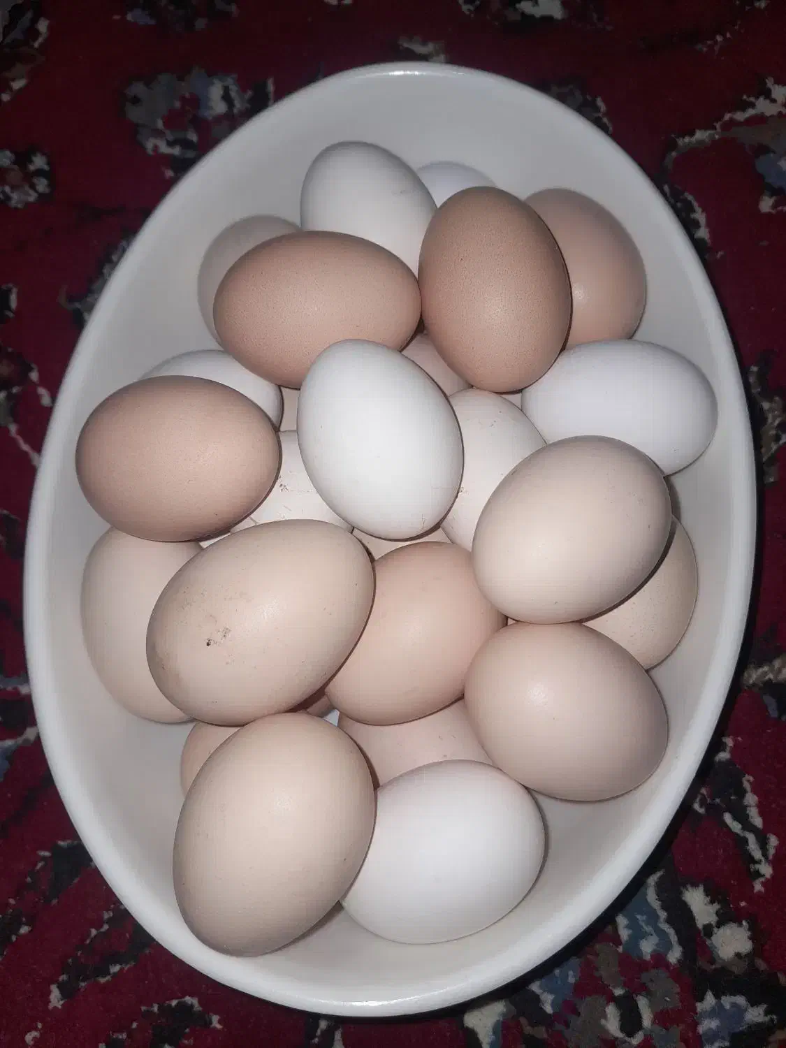 تخم مرغ|خوردنی و آشامیدنی|ورامین, ورامین|دیوار