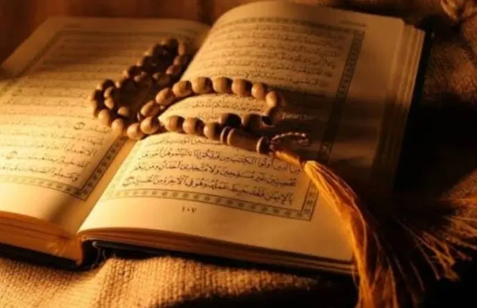 سر کتاب|کتاب و مجله مذهبی|مشهد, جاهد شهر|دیوار